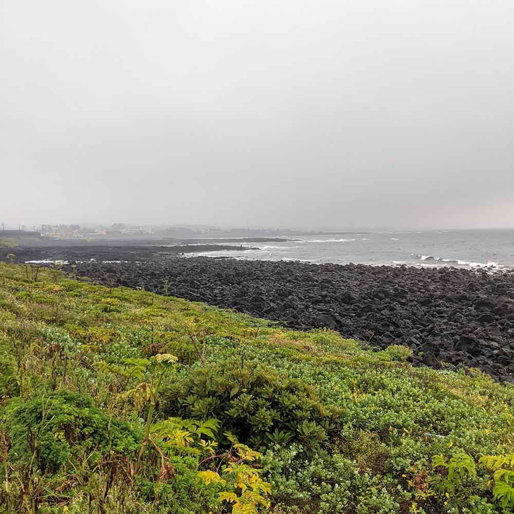 0168: Unrelatable writing tips