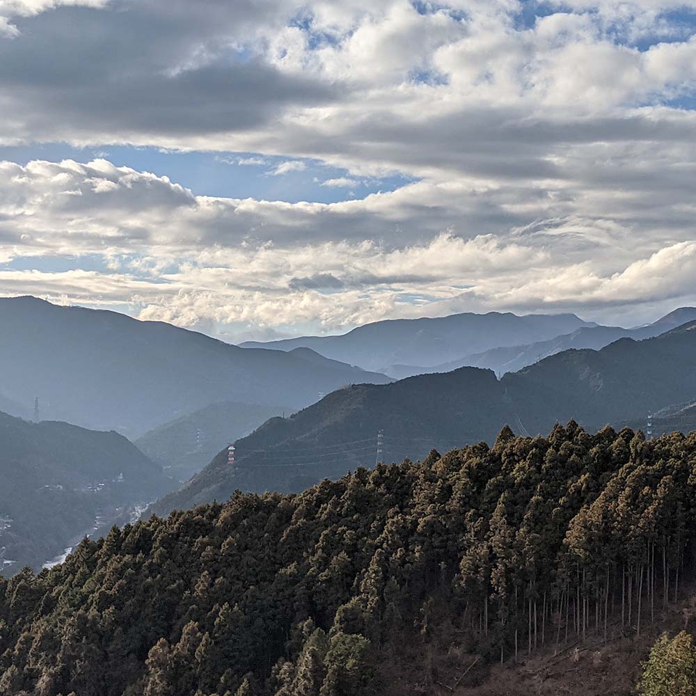 The Amazing Ome Hills Hiking Course, Tokyo