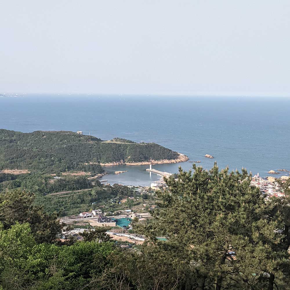 A chat with a local on a mountain in South Korea