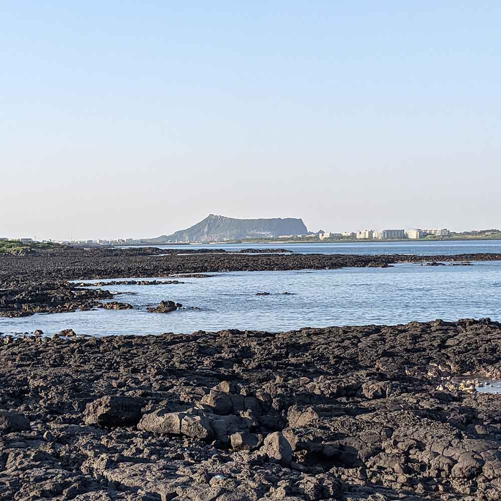Learning the secrets of the Jeju Olle Trail