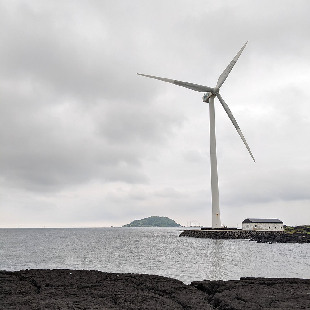 Breaking the orbit of Jeju City - to Wolyeong Cactus Colony