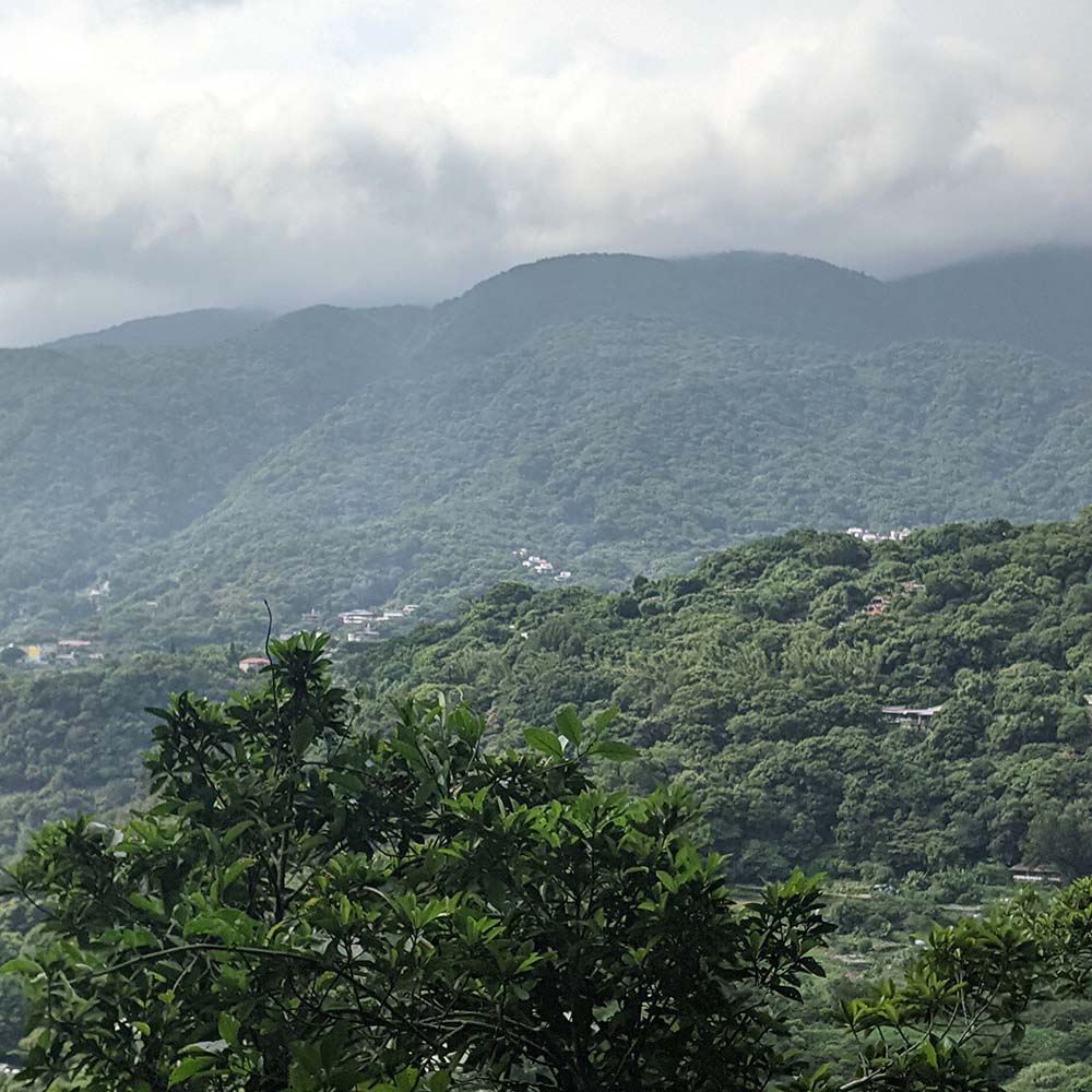 Tianmu Monkey Trail in Taipei